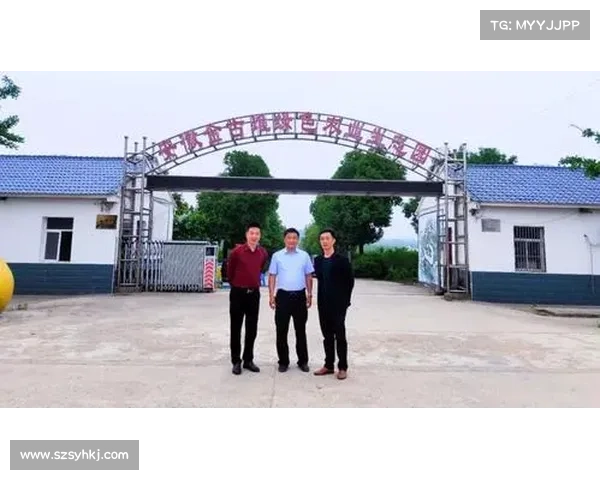 板球产业投资迅猛增长 商业资本助力赛事运营与品牌推广 板球产业投资迅猛增长 商业资本助力赛事运营与品牌推广
